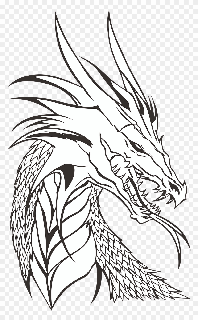 Free Image On - Dragon Head Transparent Background Clipart