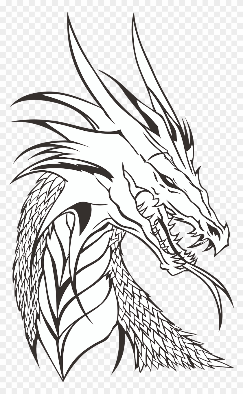 Free Image On - Dragon Head Transparent Background Clipart #2689368