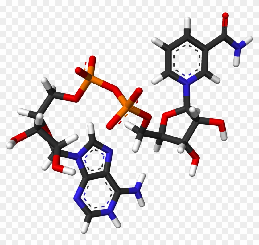 Nad From Xtal 2003 3d Sticks - Nad+ 3d Clipart