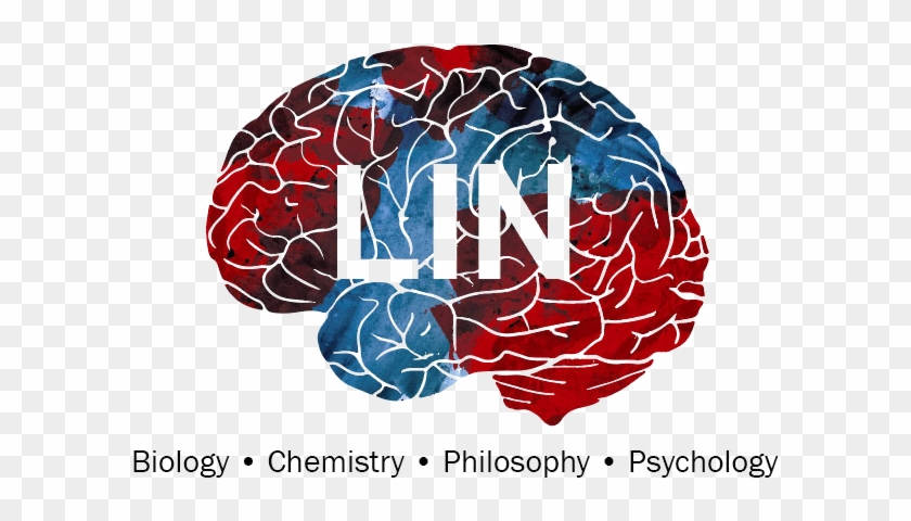 Lin Biological Sciences University Transparent Background - White Background Brain Clipart