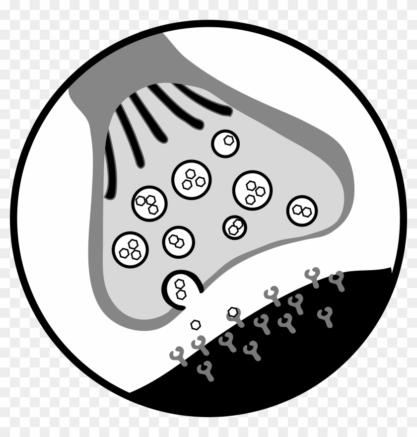 Chemicals Clipart Biology - Chemical Synapse - Png Download #2692124