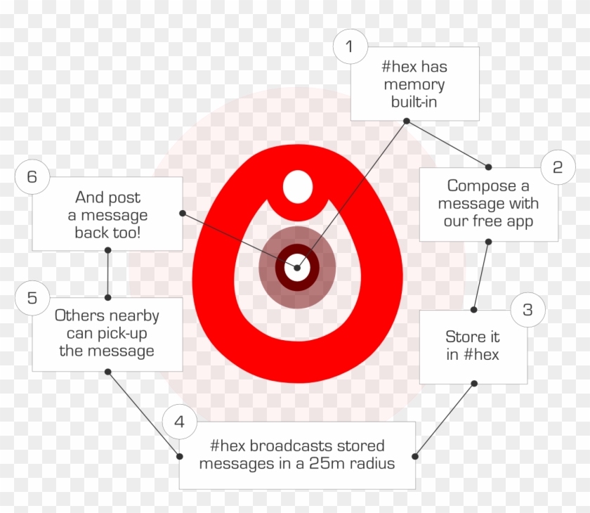 1000 - Circle Clipart #2694048