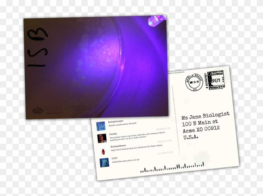 Diybio Postcard Vol - Operating System Clipart #2694385