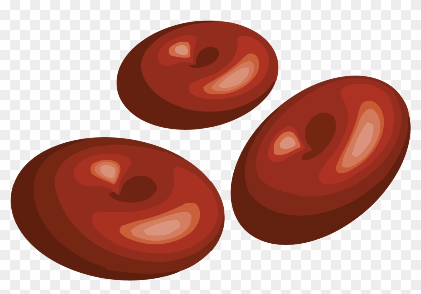 Cell Type Human Body Anatomy Organ Transprent Ⓒ - Forma Celulelor Clipart