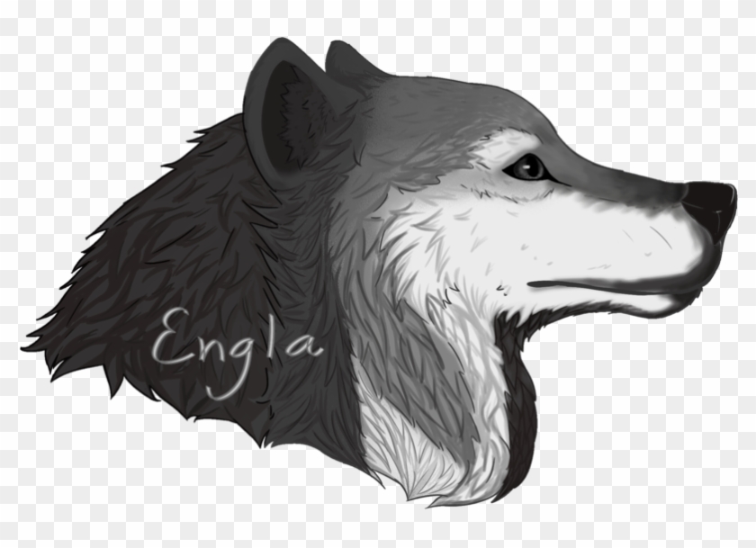 Drawn Werewolf Wolf's Head - Wolf Head Drawing Png Clipart #2695552