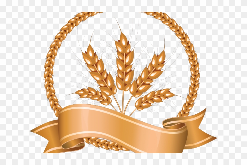 Grains Clipart Wheat Straw - Grain Png Transparent Png