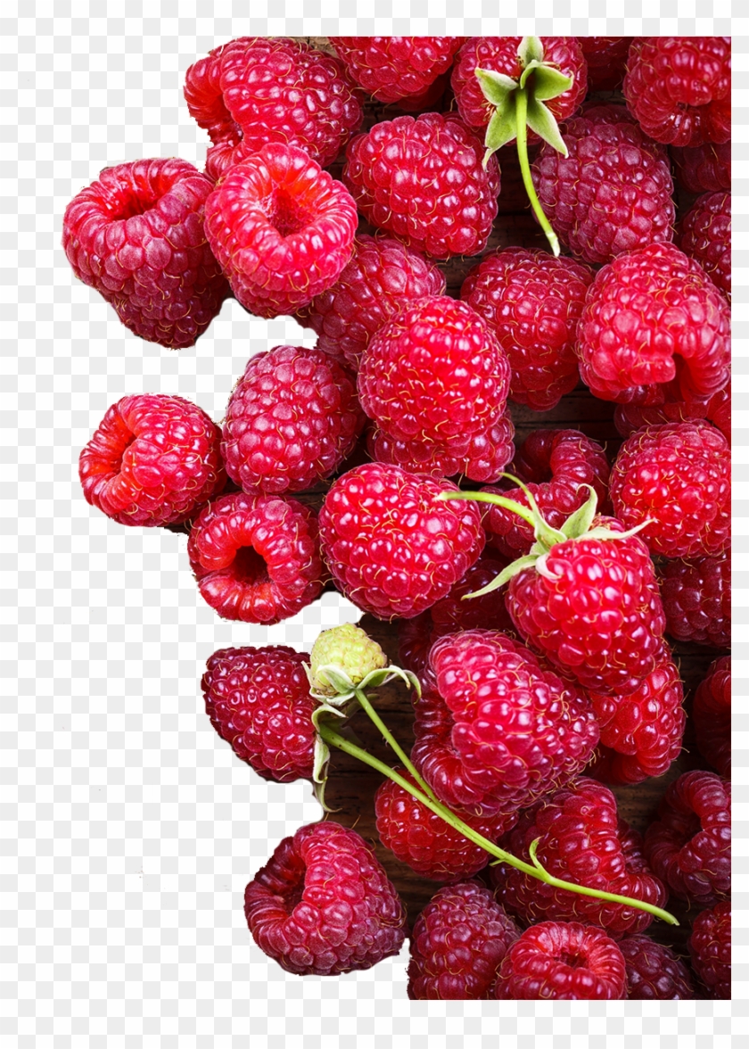Wildebraam Berry Festival Background - Raspberry Hd Clipart #2696516