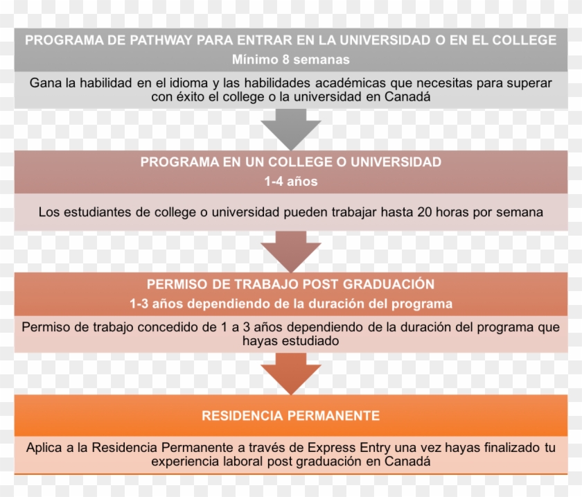 Proceso De Residenci - Entrepreneurship Flow Chart Clipart #2696916