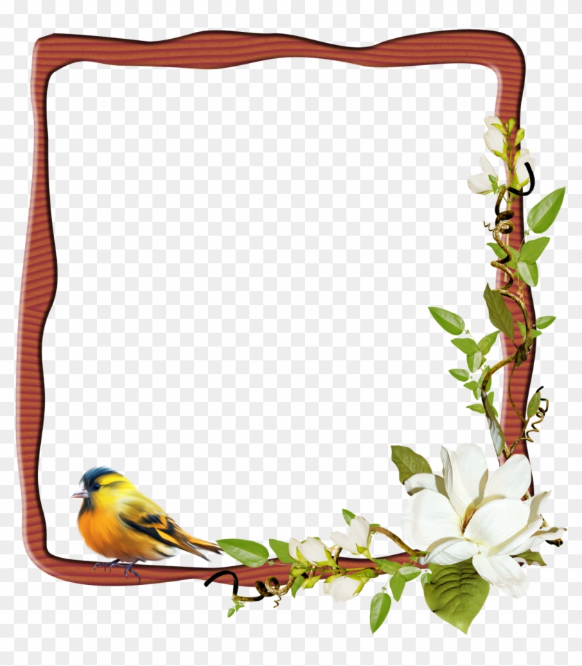Marco Para Personalizar Con Tu Foto Frozen, Framed - Marco Para Fotos Digitales Clipart
