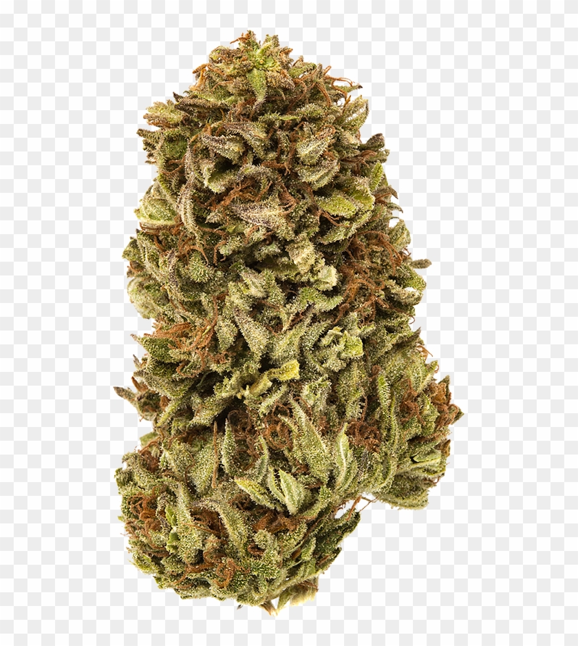 Black Diamond Og - Bud Clipart