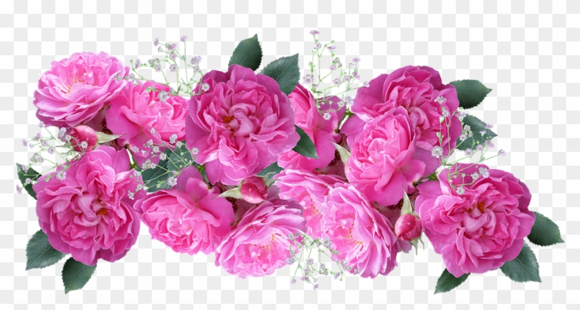Flower, Floral, Flora, Petal, Bouquet - Bouquet Florales Png Clipart