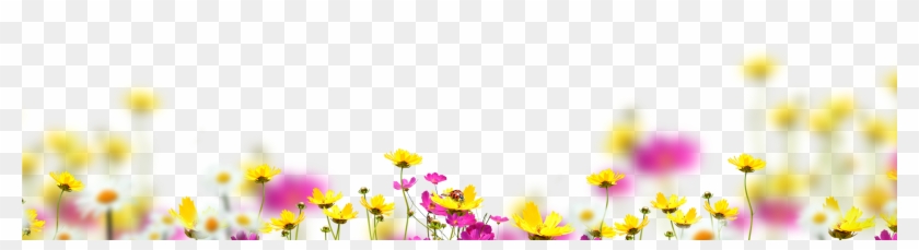 Blowing Glitter Png - Flowers Overlay Photoshop Clipart