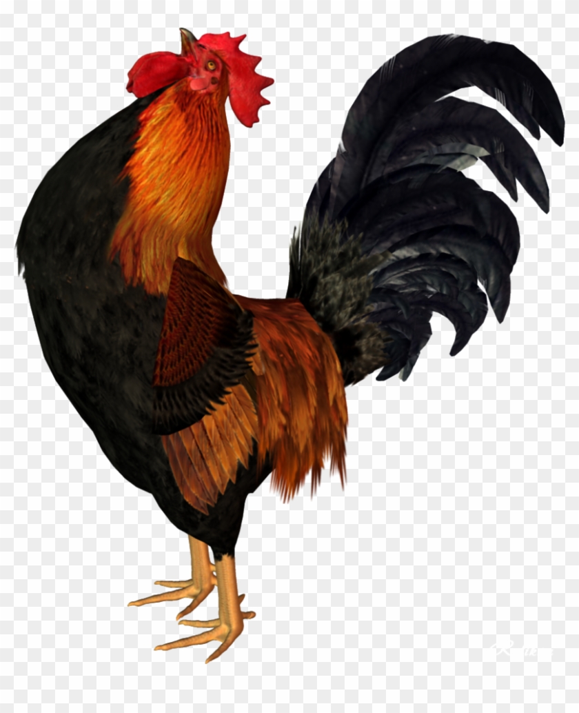 Cock Png - Rooster Clipart