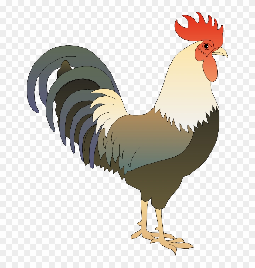 Rooster - Gambar Ayam Jago Kartun Clipart