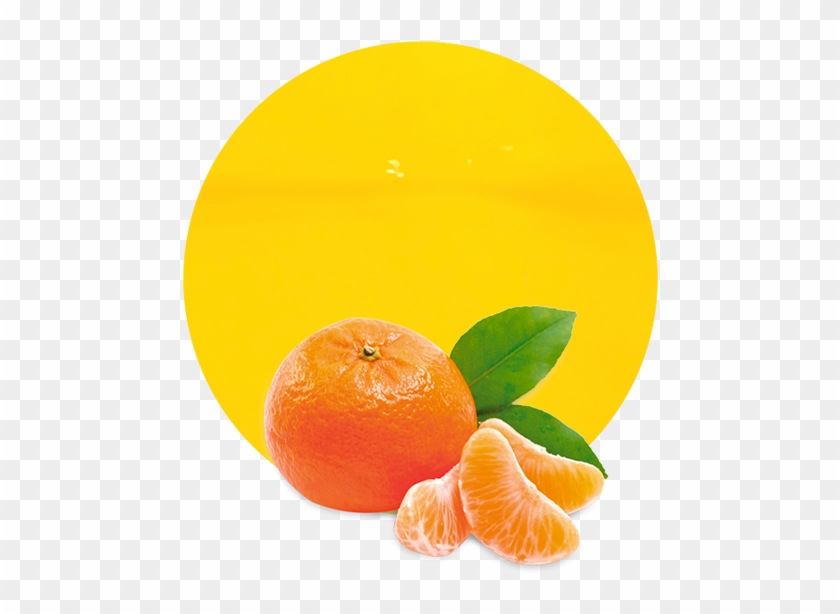 Juice Concentrate - Tangerines Png Clipart