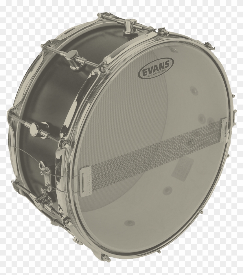 Drums - Evans Hazy 300 Clipart