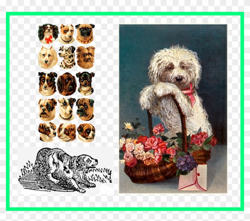 Awesome Pitbull Clipart Dog Instant Digital Watercolor - Dog - Png Download