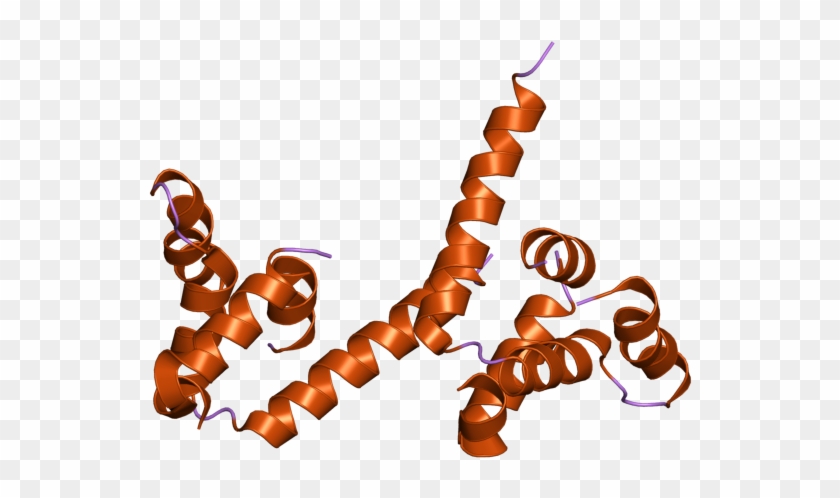 Pdb 2g7r Ebi - Illustration Clipart