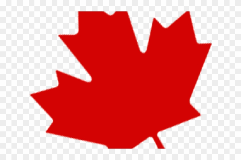 Transparent Maple Leaf Png Clipart #273577