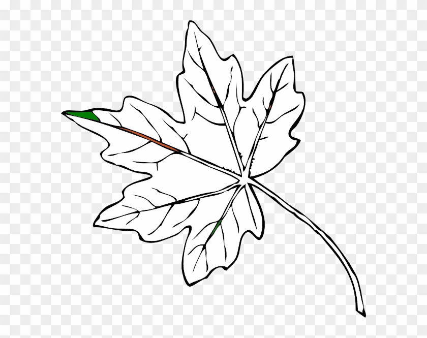 Maple Leaf Svg Clip Arts 600 X 585 Px - Png Download