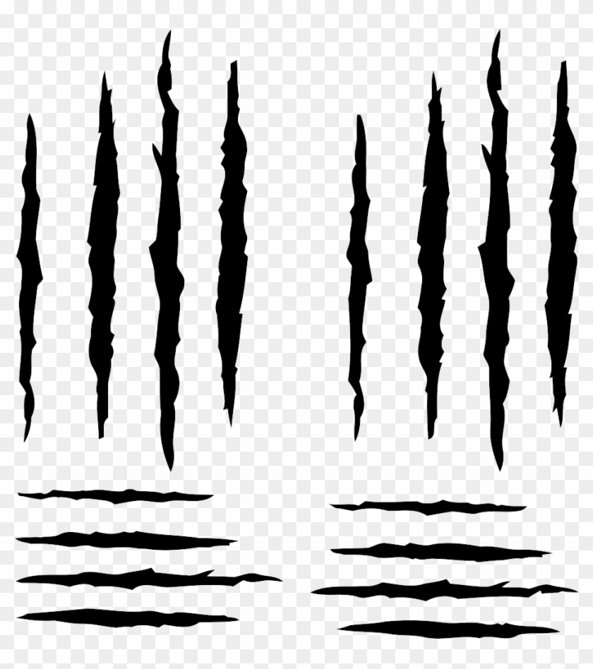 Scratches Claw Png Image - Bear Scratch Clipart