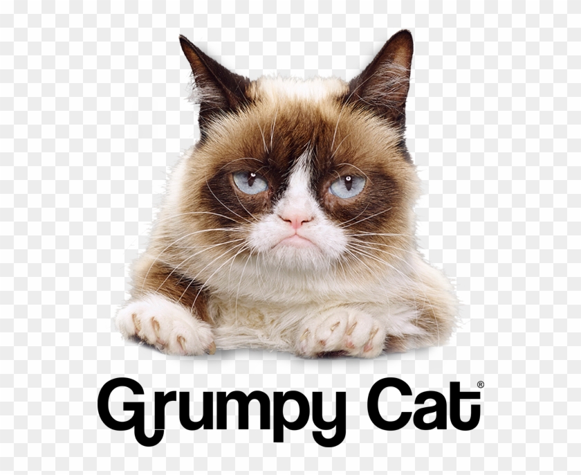 729 Grumpy Cat Supporting - Grumpy Cat Clipart #274362