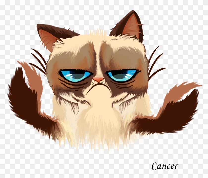 Grumpy Cat Horoscopes - Grumpy Cat Vector Png Clipart