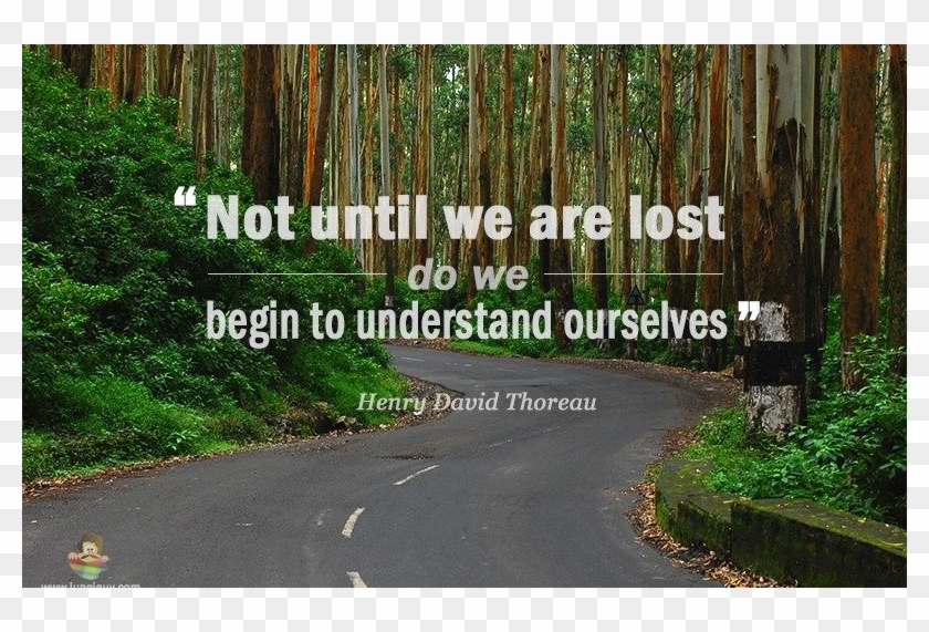 Watercolor Water Droplets Png - Watercolor Painting Clipart