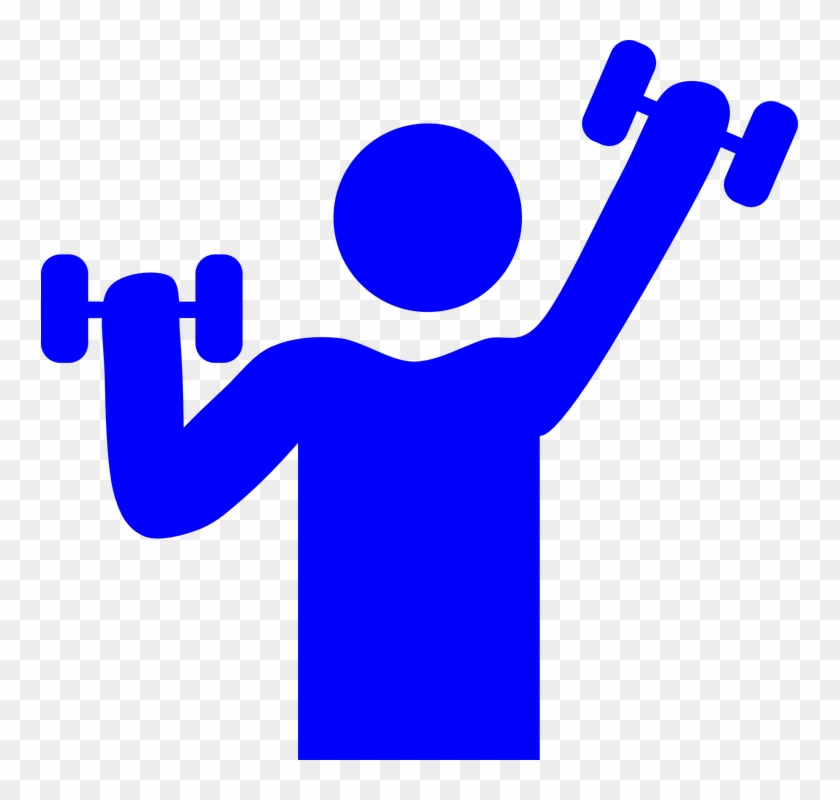 Health And Fitness Gym Weight Lifting Muscle - Gym Clipart - Png Download