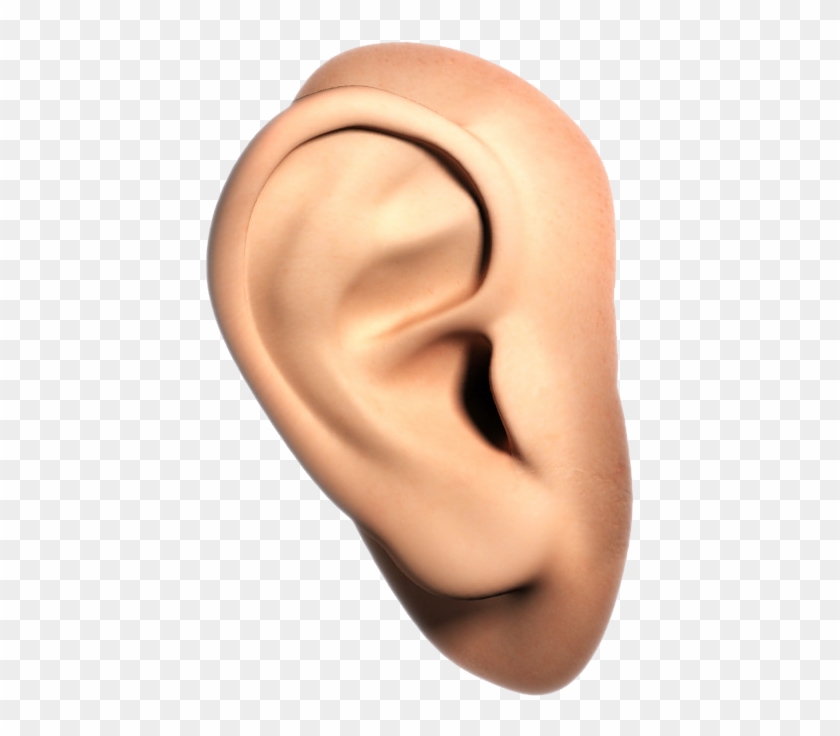 Human Ear Png Clipart