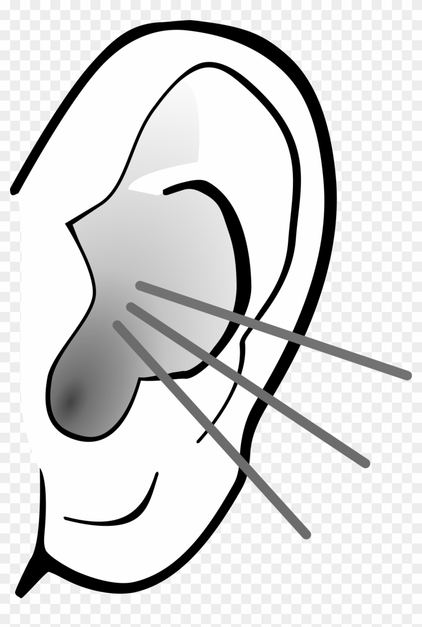 Listening Ear Png Image Ear Listening Clipart Pikpng