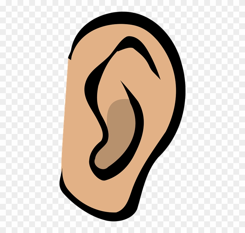 Ear, Listen, Hear, Gossip, Sound, Whispering, Secrets - Clip Art Ears - Png Download #276311