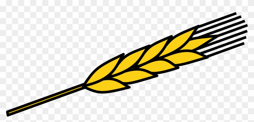 Ear Of Corn Png Clipart