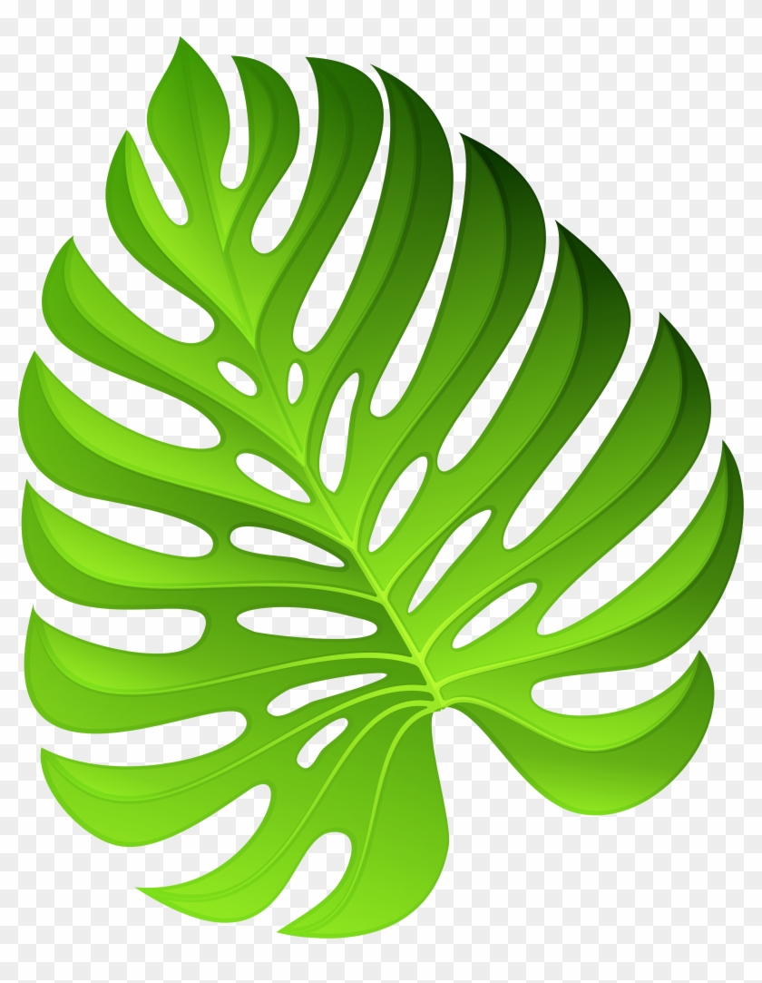 Tropical Leaves Vector - سكرابز ورق شجر Png Clipart
