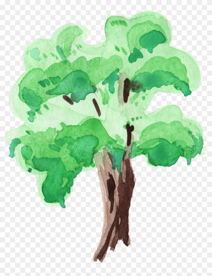 989 X 1240 11 - Watercolor Tree Transparent Background Clipart #276976