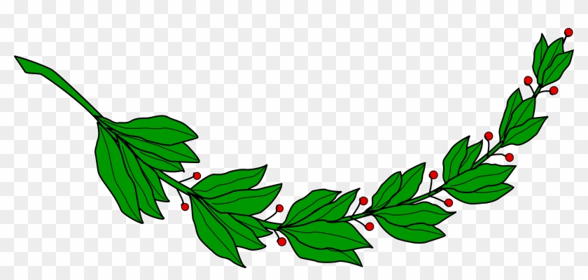 Laurel Branch 5 Png Royalty Free - Laureles Del Escudo De El Salvador Clipart #277052