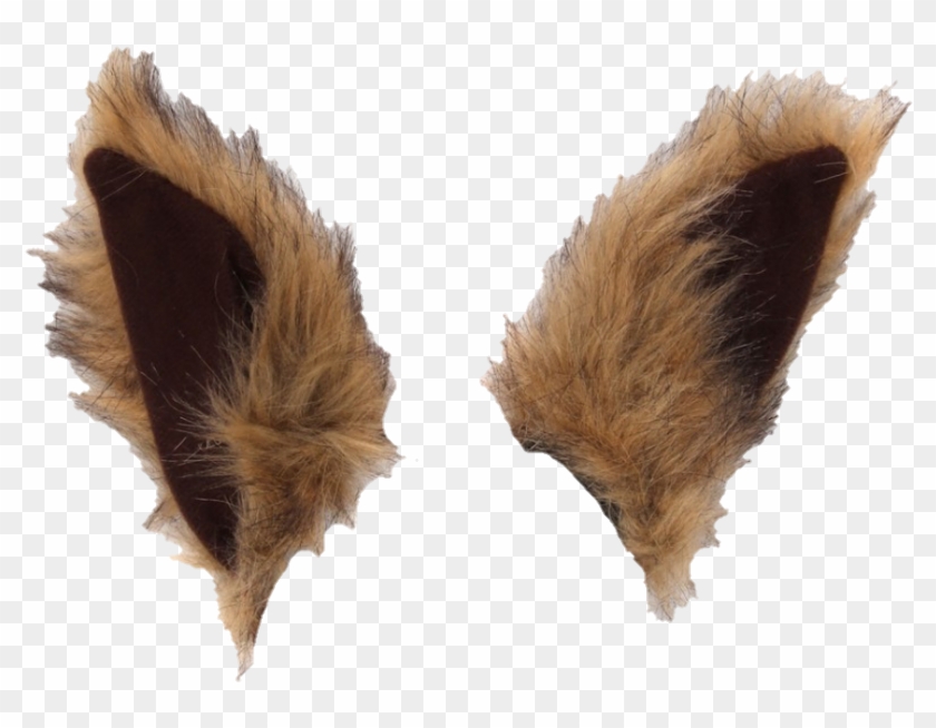 Squirrel Sticker - Orejas De Ardilla Disfraz Clipart