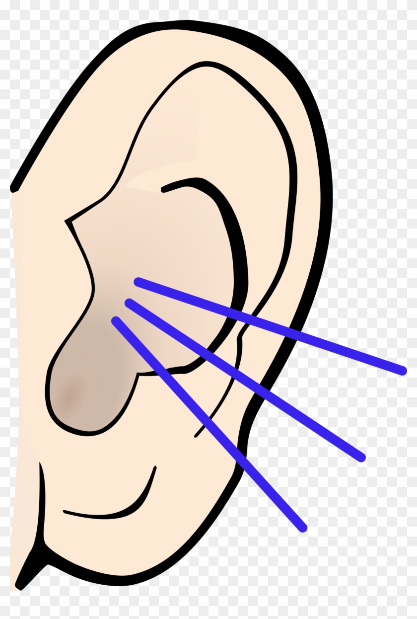 Big Image - Ear Clipart - Png Download #277300