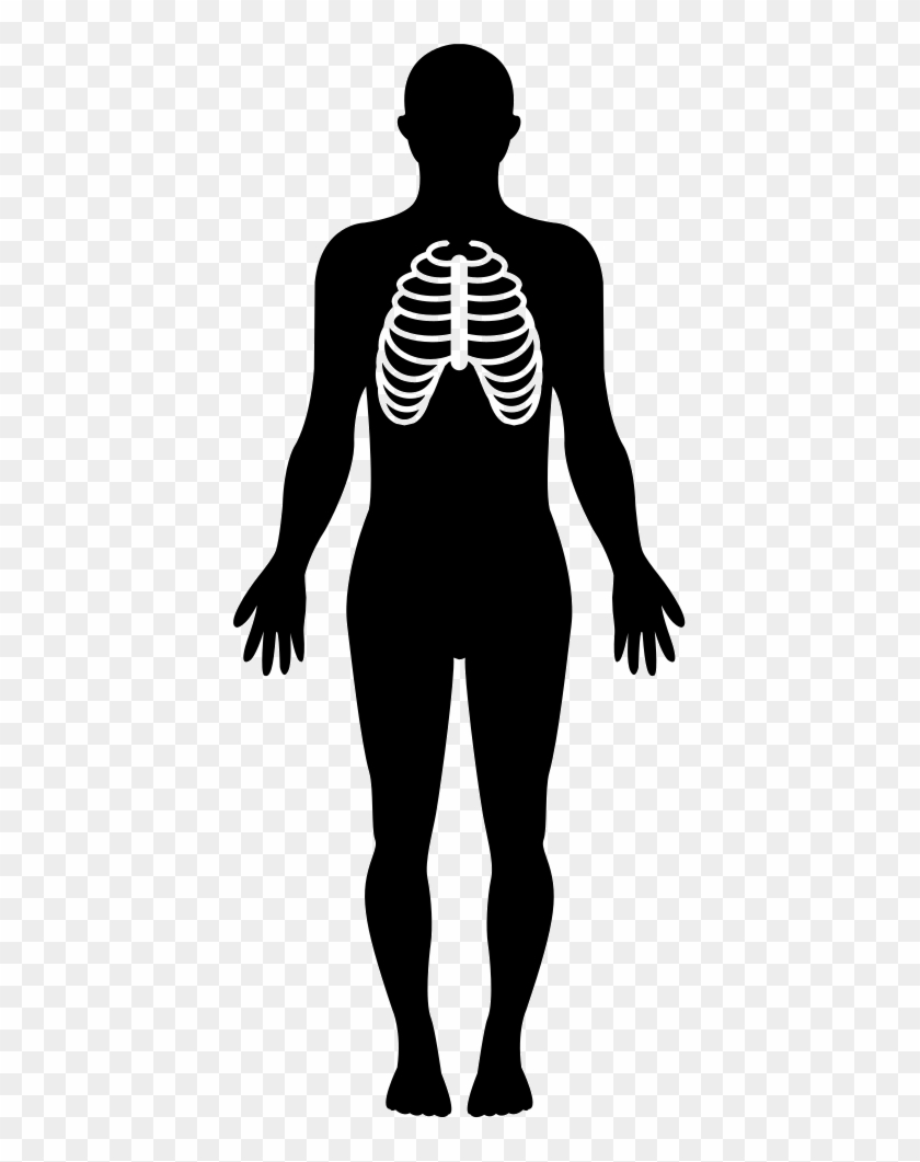 Human Body Silhouette With Focus On Respiratory System - Human Body Silhouette Clipart #277362