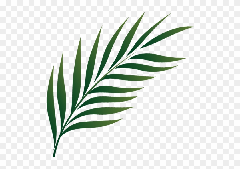 Palm Leaf Icon Png Clipart #277368