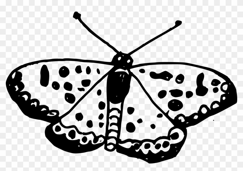 Butterfly Drawing Transparent Png Fancy Line Dividers Clipart #277610