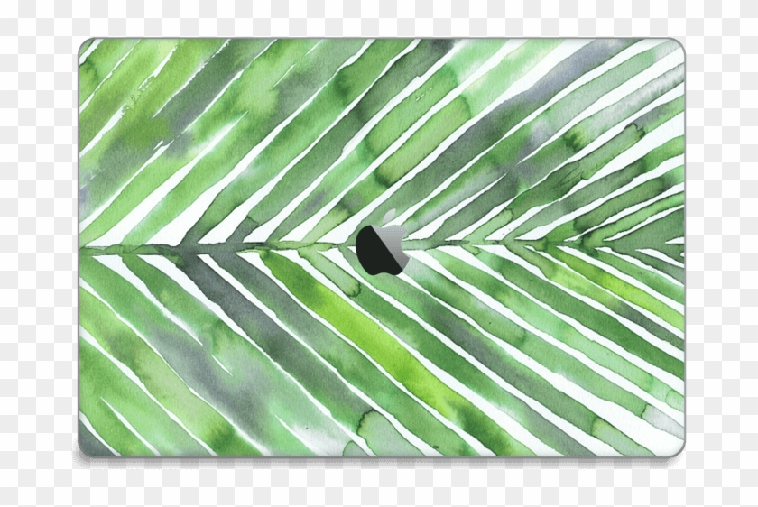 Palm Leaves - Saw Palmetto Clipart #277664