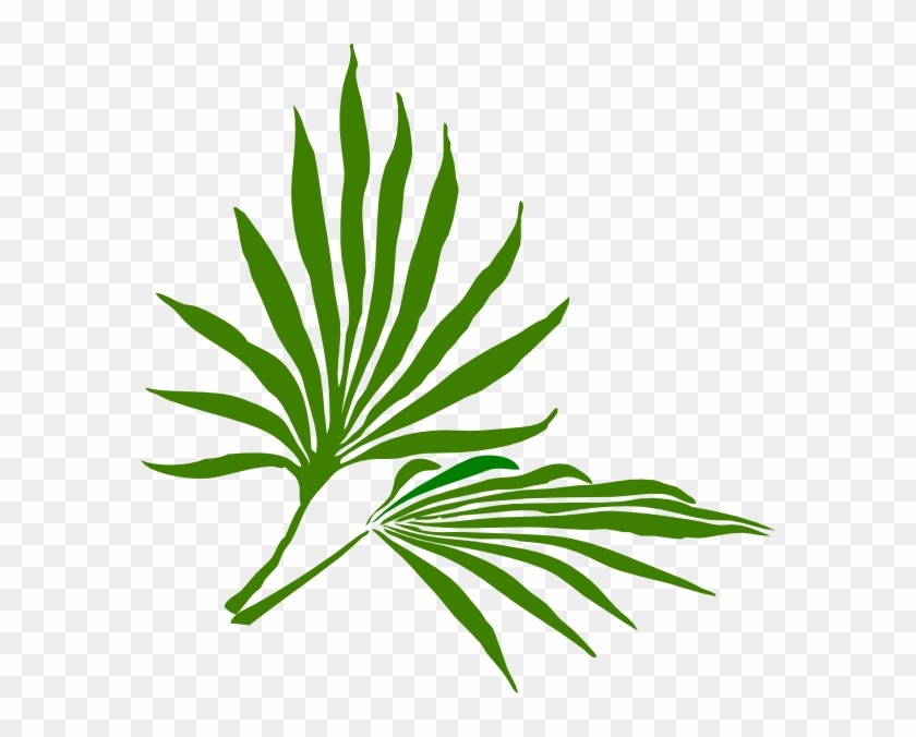 Clip Art Palm Leaf - Png Download #277834