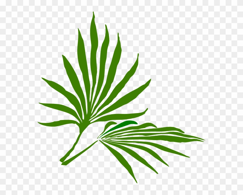 Clip Art Palm Leaf - Png Download