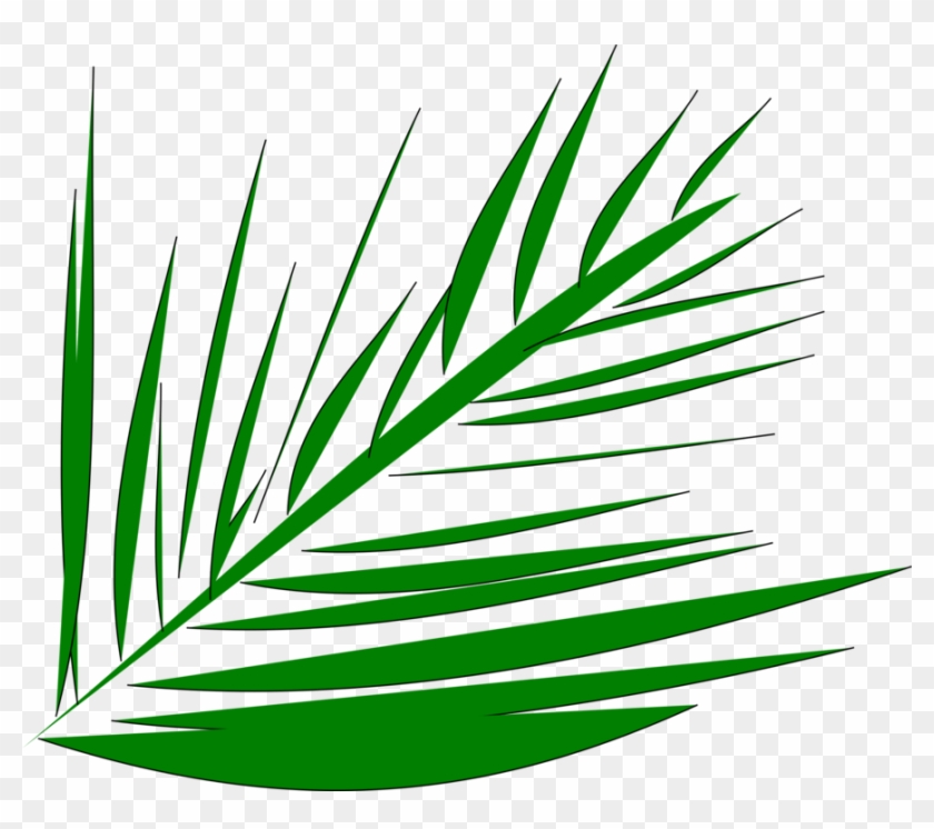 Palm-leaf Manuscript Palm Trees Computer Icons Palm Clipart #277987