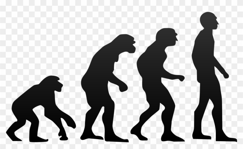 File - Human Evolution - Svg - Evolution Of Humans Clipart