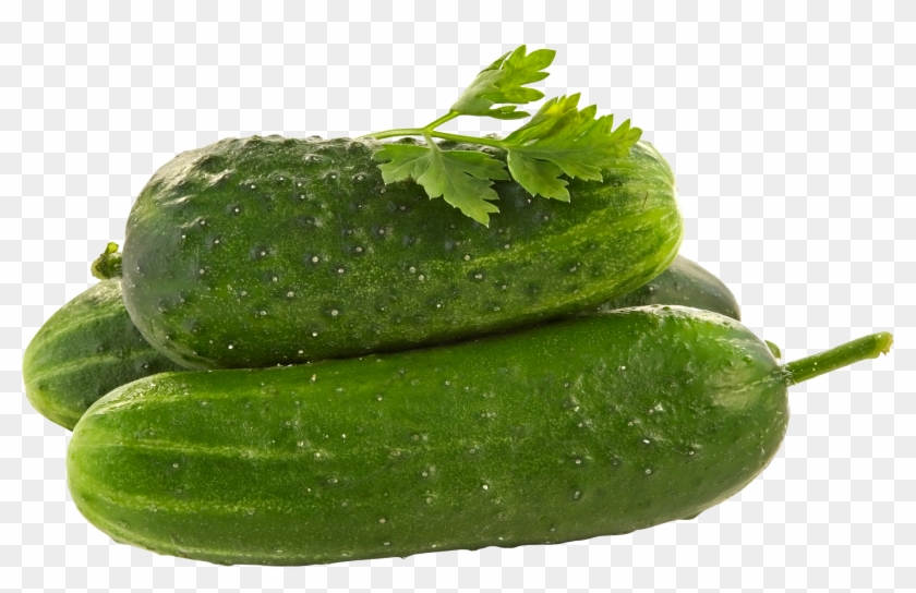 Cucumbers Png - Cucumber Png Clipart #278216