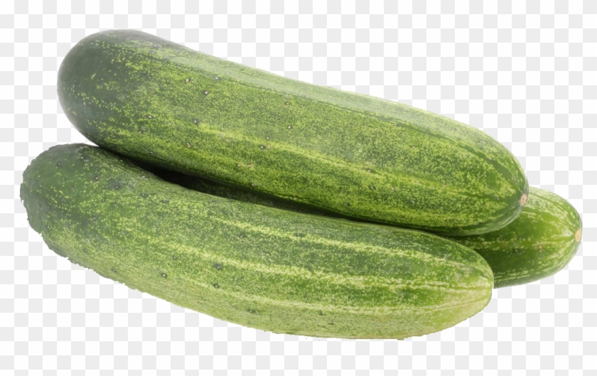 Kheera Seeds Clipart