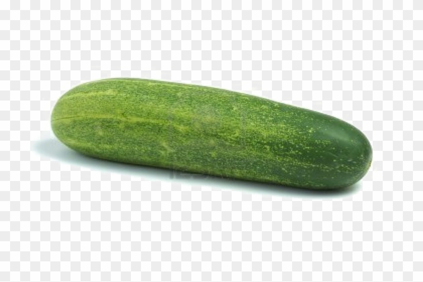 Single Cucumber Png Photo - Khira Vegetable In English Clipart