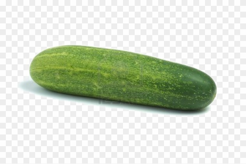 Single Cucumber Png Photo - Khira Vegetable In English Clipart #278460